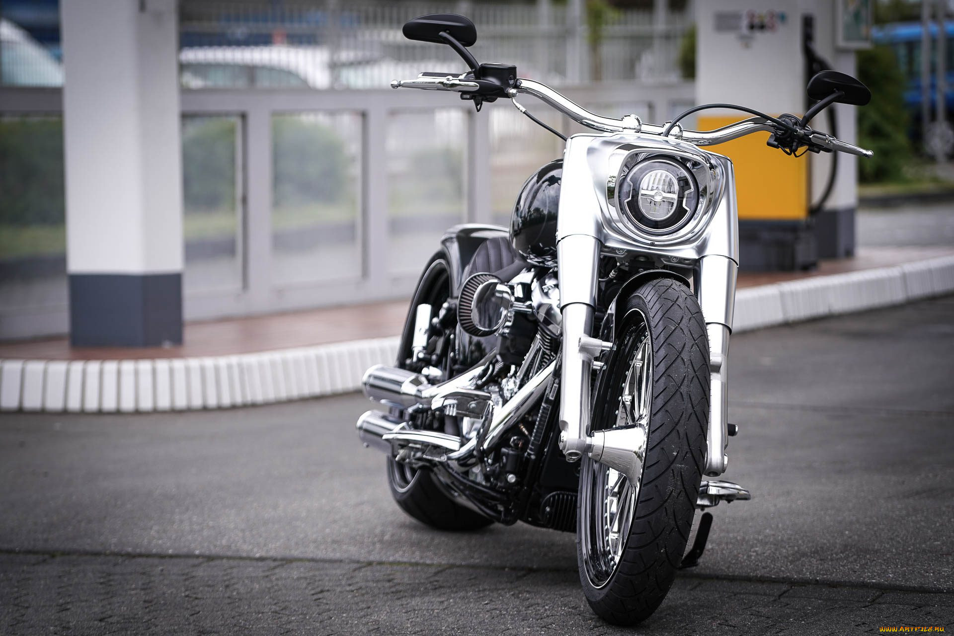 , , harley-davidson, , 